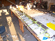 Aileron covering 1