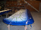 Blue trim on right wing