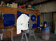 Cowlong clear coated
