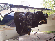 Engine hung