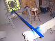 VG's painted blue