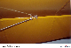 Lower Tailbrace Wire