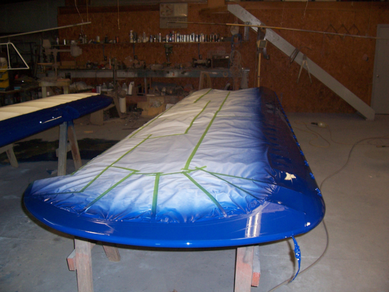 Blue trim on right wing