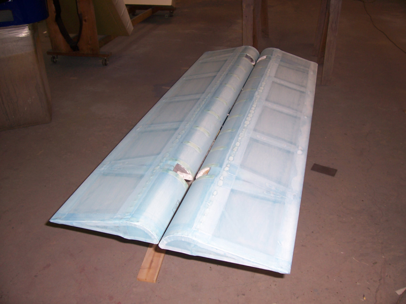 Flaps ready for dope spraying
