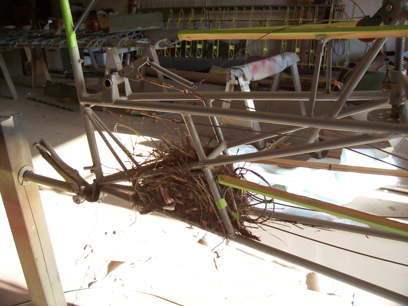 Nest in tail