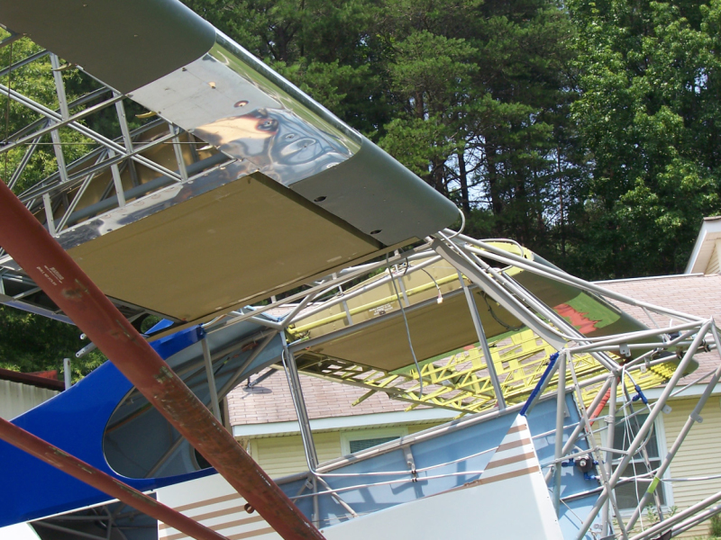 WIngs rigged 3