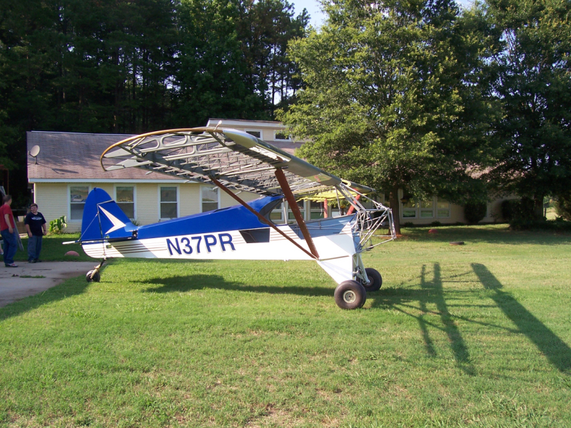 Wings hung 3