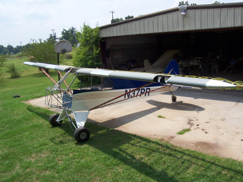 Wings rigged 2